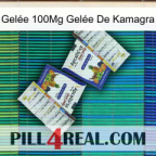 Gelée 100Mg Gelée De Kamagra 12